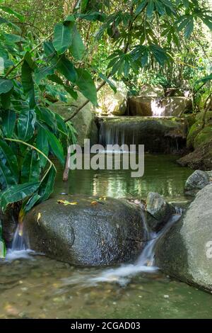 Grüner Gartenbereich des Calouste Gulbenkian Museums in Lissabon, Portugal Stockfoto