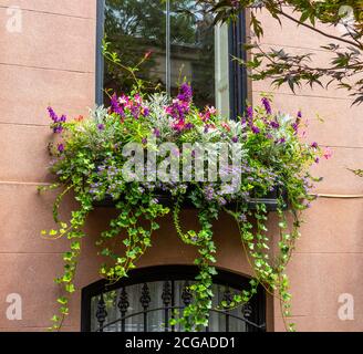 Fensterkasten für ein altes Reihenhaus in der State Street in Brooklyn Heights, NY Stockfoto