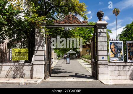 Tropischer Botanischer Garten im Zentrum von Lissabon, Portugal Stockfoto