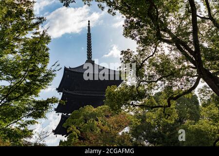Die fünfstöckige Pagode bei Toji (oder To-ji) in Kyoto, Japan. Stockfoto