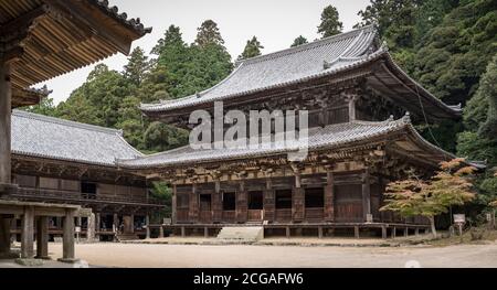 Daikodo (Haupthalle) in Engyoji (oder Engyo-ji), einem buddhistischen Tempel von Tendai auf Shoshazan in Himeji, Präfektur Hyogo, Japan. Stockfoto