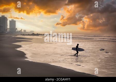 Ein Surfer im Nassanzug dringt an einem Januarmorgen in Coronado, CA, ins Wasser am Strand ein. Stockfoto