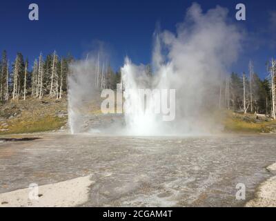 Vent-Turban-Grand Geyser im Upper Geyser Basin im Yellowstone National Park in Yellowstone, Wyoming Stockfoto