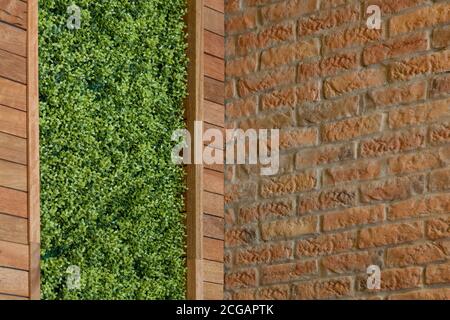 Nahaufnahme der Textur einer Ziegelwand und kleinen Pflanzen an der Wand gefunden, natürliches Licht in den Tag Stockfoto