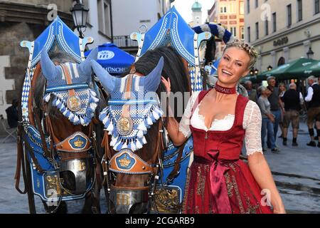 München, Deutschland. September 2020. Die Wiesnplaymate 2020, Natascha Hofmann zeigt sich bei der Präsentation des Playboy Wiesn-Playmate 2020 vor dem Hofbräuhaus am Platzl mit einem Pferd und Wagen der Hofbräu Brauerei. Das Playboy-Magazin präsentierte in diesem Jahr einen Wiesn-Playmate, obwohl das Oktoberfest aufgrund der Corona-Pandemie überhaupt nicht stattfindet. Quelle: Felix Hörhager/dpa/Alamy Live News Stockfoto