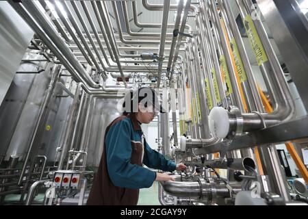 Suifenhe, Chinas Provinz Heilongjiang. September 2020. Ein Mitarbeiter arbeitet in einer Werkstatt einer Bierfabrik in Suifenhe, nordöstlich der Provinz Heilongjiang, 9. September 2020. Auf einer Fläche von 19.99 Quadratkilometern hat das Suifenhe-Teilgebiet der Heilongjiang Pilot-Freihandelszone (FTZ) in diesem Jahr 308 Millionen Yuan (45 Millionen US-Dollar) erreicht, an denen rund 91,200 Grenzbewohner teilnahmen, so das Wirtschaftsministerium der Provinz. Quelle: Zhang Tao/Xinhua/Alamy Live News Stockfoto