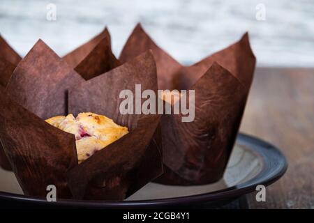 Hausgemachte, frisch gebackene Cranberry-Muffins in braunen Tulpenmuffin-Linern. Stockfoto