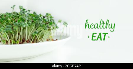 Frische Micro Greens in Nahaufnahme. Microgreen Senf Sprossen auf dem Teller. Microgreens wächst. Gesunde Ernährung Konzept. Weißer Hintergrund. - Bild Stockfoto