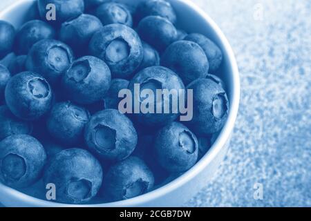 Frische reife und saftige Heidelbeeren in weißer Schale. Speicherplatz kopieren. Makrofoto - Bild Stockfoto