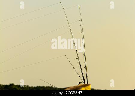 Mehrere Angelruten sind auf dem Holzgeländer einer Brücke bei Sonnenuntergang platziert. Sie sind alle aufgestellt und die Fischer (nicht gesehen) warten auf Vibrat Stockfoto