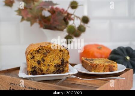 Süße hausgemachte Kürbiskuchen mit Schokolade Stockfoto