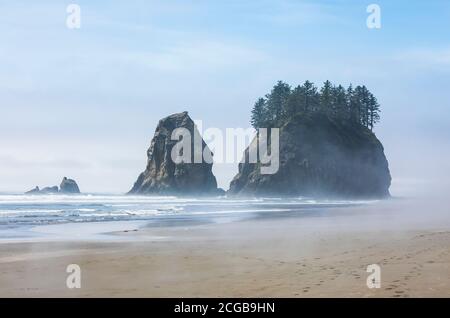 Meeresfelsen vor der Küste von 2nd Beach im Olympic National Park Coastal Strip, Washington State Coast, USA. Stockfoto