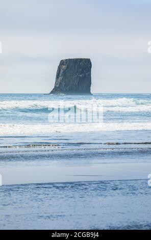 Meeresfelsen vor der Küste von 2nd Beach im Olympic National Park Coastal Strip, Washington State Coast, USA. Stockfoto