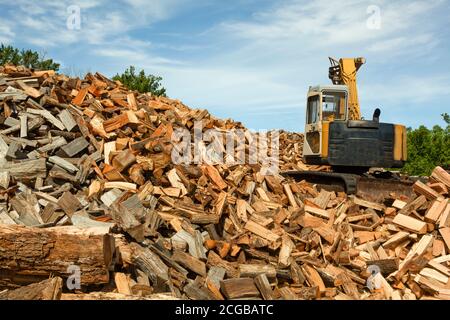 Holzfällstelle, wo Bäume aus dem nahe gelegenen Wald gehackt und in Holzstämme geschnitten werden. Diese Baumstämme werden dann zu großen Pfählen gemacht und ein Bagger arbeitet daran Stockfoto