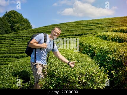 Teenager Mann geht durch Teeplantagen in Porto Formoso. Sao Miguel, Azoren, Portugal. Stockfoto