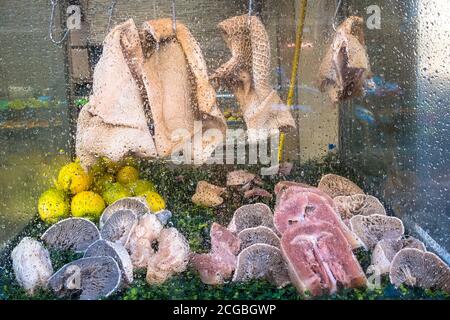 Schweinefleisch-Schnauze, traditionelle Suppen in Neapel Stockfoto