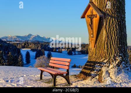 Frühmorgendliche Landschaft zu Beginn der Winterzeit im östlichen Allgäu bei Lechbruck Stockfoto