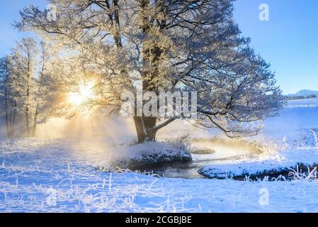 Landschaftlich schöner früher Wintermorgen im Alpenvorland in bayern Stockfoto