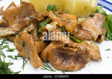 Geschmorte Pfifferlinge in weißer Sauce mit gekochten Kartoffeln mit frischen Kräutern: Petersilie und Dill. Stockfoto