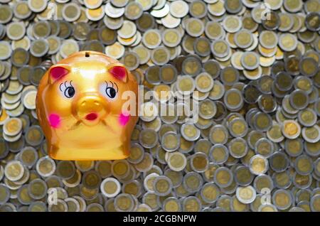 Sparschwein auf verschwommenem Hintergrund thailändischer Baht-Münzen. Sparkonzept. Stockfoto