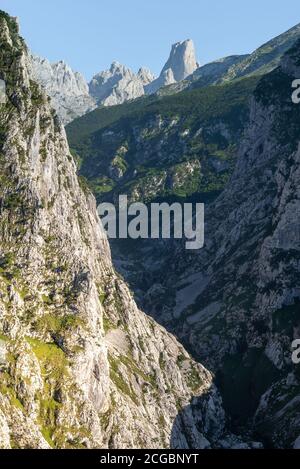 Naranjo de Bulnes, bekannt als PICU Urriellu, aus dem Dorf Camarmeña im Nationalpark Picos de Europa, Asturien in Spanien Stockfoto