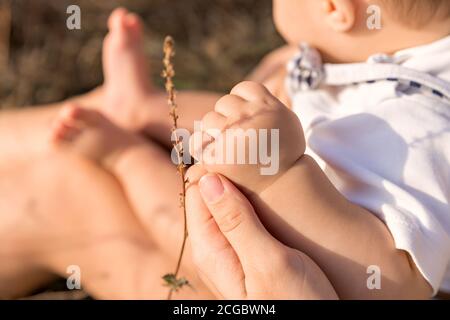 Baby auf einem Spaziergang mit seiner Mutter an einem warmen sonnigen Tag. Die kleine dicke Hand des Babys in den Händen meiner Mutter. Konzentrieren Sie sich auf Ihre Finger. Stockfoto