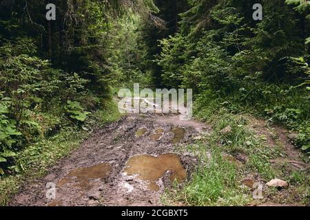 Offroad für harte Männer. Autorennen auf unbefestigten Straßen nach Regen. Rad, Motorhaube, Spiegel und Tür mit Schlamm bedeckt. Fragment von Auto Off-Road mit Herbst Natur Stockfoto