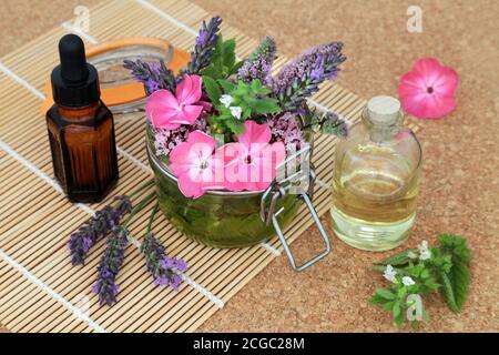 Naturheilkundliche Kräutermedizin mit Sommerblumen und Kräutern lose und in einem Glas mit Ölen, Aromatherapie ätherisches Öl zu machen. Stockfoto