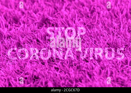 Stoppen Sie Corona Virus vor dem Hintergrund von grünem Gras. Wörter. Stockfoto