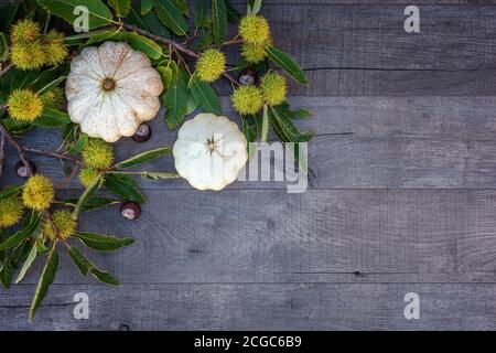 Feiertage und Saison - Herbst. Kastanien, Kürbisse und Blätter auf Holzgrund. Stockfoto