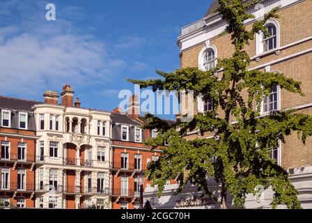 Gloucester Road, South Kensington, London Stockfoto