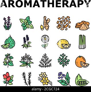 Aromatherapie Kräuter Kollektion Icons Set Vektor Illustration Stock Vektor