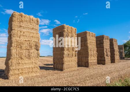 6 Heuballen hoch in einem Feld mit gestapelt Blauer Himmel an einem sonnigen Tag Stockfoto