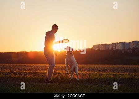 Mann wirft fliegende Scheibe für seinen Hund. Haustierbesitzer mit labrador Retriver auf dem Feld bei schönem Sonnenuntergang. Stockfoto