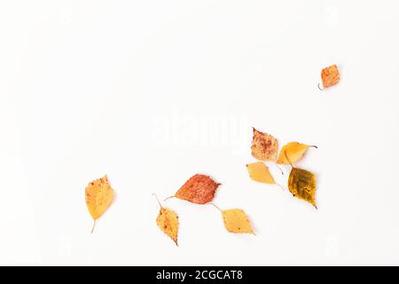 Herbstkomposition.Rahmen aus Herbst trockenen mehrfarbigen Blättern und Blumen auf weißem Hintergrund. Herbst, Herbst Konzept. Flach liegend, Draufsicht, Kopierbereich Stockfoto