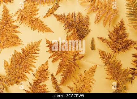 Herbstzusammensetzung.Rahmen aus Herbst trockenen mehrfarbigen Blättern auf gelbem Hintergrund. Herbst, Herbst Konzept. Flach liegend, Draufsicht, Kopierbereich Stockfoto