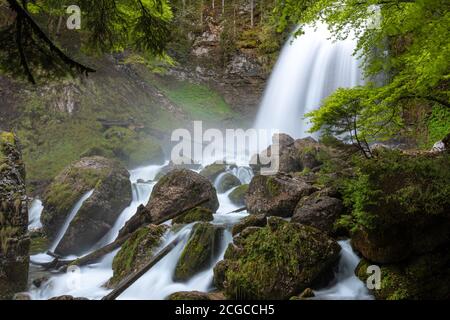 Französische Landschaft - Chartreuse. Wilder Fluss mit Wasserfall im Wald. Stockfoto