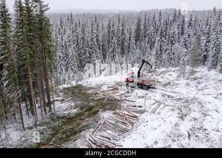 Nachhaltige europäische Fichtenholzernte in Norwegen im Winter mit schweren Maschinen im Schnee, Drohne von oben geschossen Stockfoto