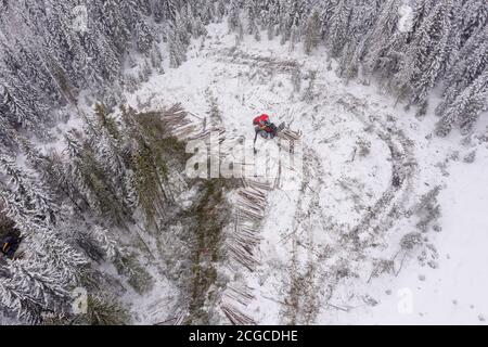 Nachhaltige europäische Fichtenholzernte in Norwegen im Winter mit schweren Maschinen im Schnee, Drohne von oben geschossen Stockfoto