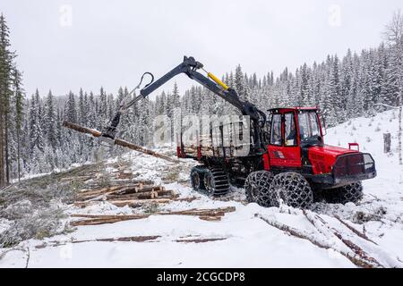 Nachhaltige europäische Fichtenholzernte in Norwegen im Winter mit schweren Maschinen im Schnee, Drohne von oben geschossen Stockfoto