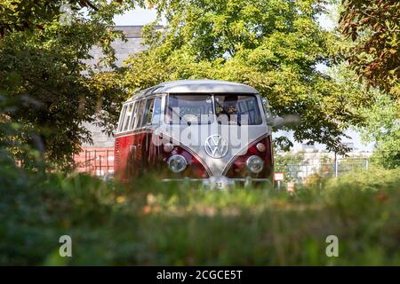 Sommertime Fahrt auf einem Vintage Volkswagen Microbus durch eine schattige Grüne Landschaft Stockfoto