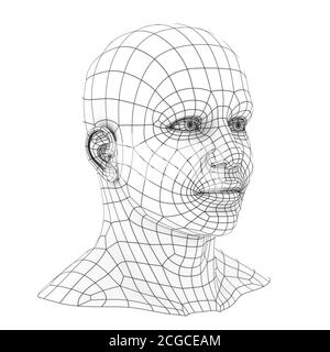 3D-Rendering mit Drahtmodell für den menschlichen Kopf Stockfoto