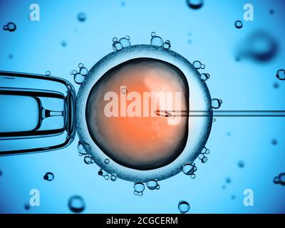 Künstliche Befruchtung Mikroskopische Ansicht 3d-Rendering Stockfoto
