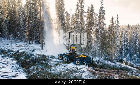 Nachhaltige europäische Fichtenholzernte in Norwegen im Winter mit schweren Maschinen im Schnee, Drohne von oben geschossen Stockfoto