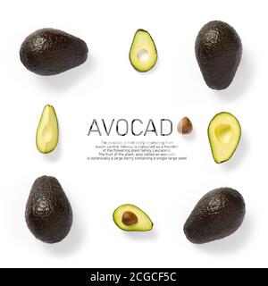 Moderne kreative Avocado-Collage mit einfachem Text auf einfarbigem Hintergrund. Avocado schneidet kreatives Layout auf weißem Hintergrund. Flat Lay, Food-Konzept Stockfoto
