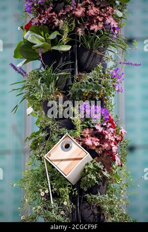 Living Pillar, Urban Greening Stockfoto