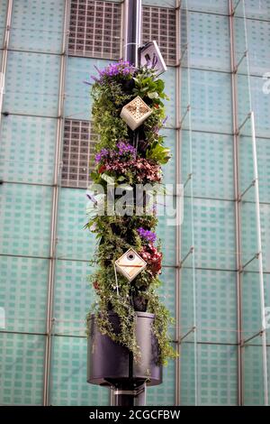 Living Pillar, Urban Greening Stockfoto