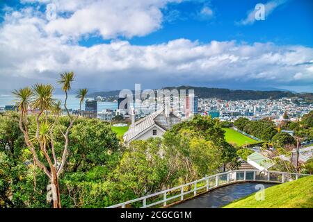 Skyline von Wellington aus der Stadt hille an einem sonnigen Morgen, Neuseeland. Stockfoto