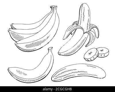 Banana Fruit Grafik schwarz weiß isoliert Skizze Illustration Vektor Stock Vektor