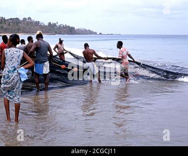 Einheimische Fischer bringen die Fischernetze aus dem Meer entlang Grafton Beach, Stonehaven Bay, Tobago, Trinidad und Tobago, Karibik. Stockfoto